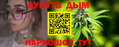 сатива Бузулук