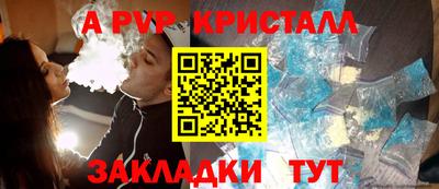 гашик Донской