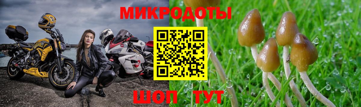 Галлюциногенные грибы Cubensis  Вход с VPN  Медногорск  Псилоцибиновые грибы Cubensis 